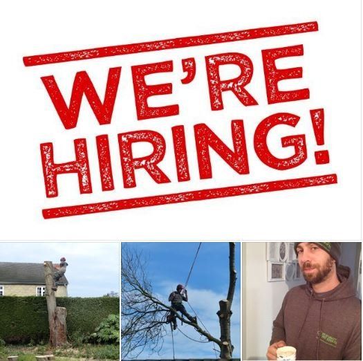 Nene Valley Tree Services Limited Hiring