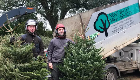 Recycle your real Christmas trees this festive season and help raise vital funds for Sue Ryder.