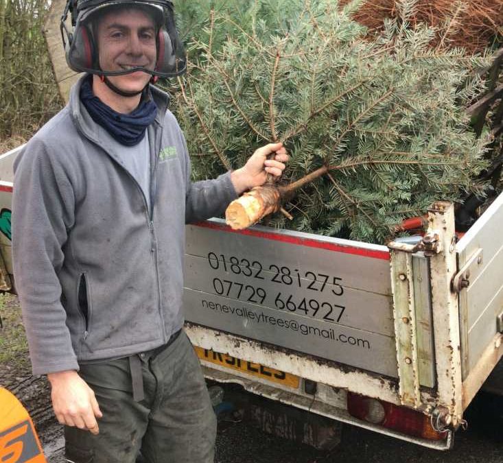Help raise vital funds for Sue Ryder by recycling your real Christmas trees this festive season.
